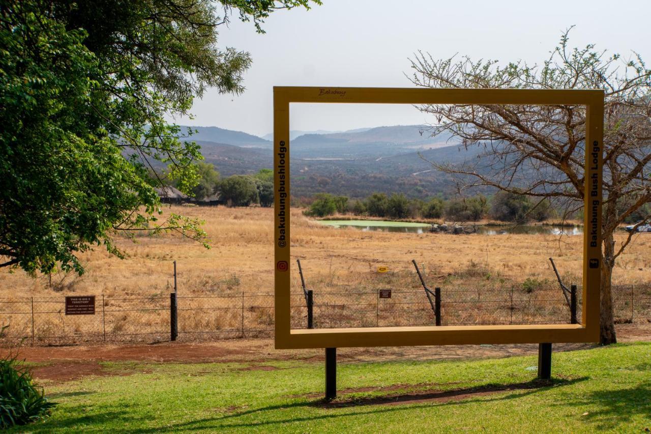 לדיח Bakubung Bush Lodge מראה חיצוני תמונה