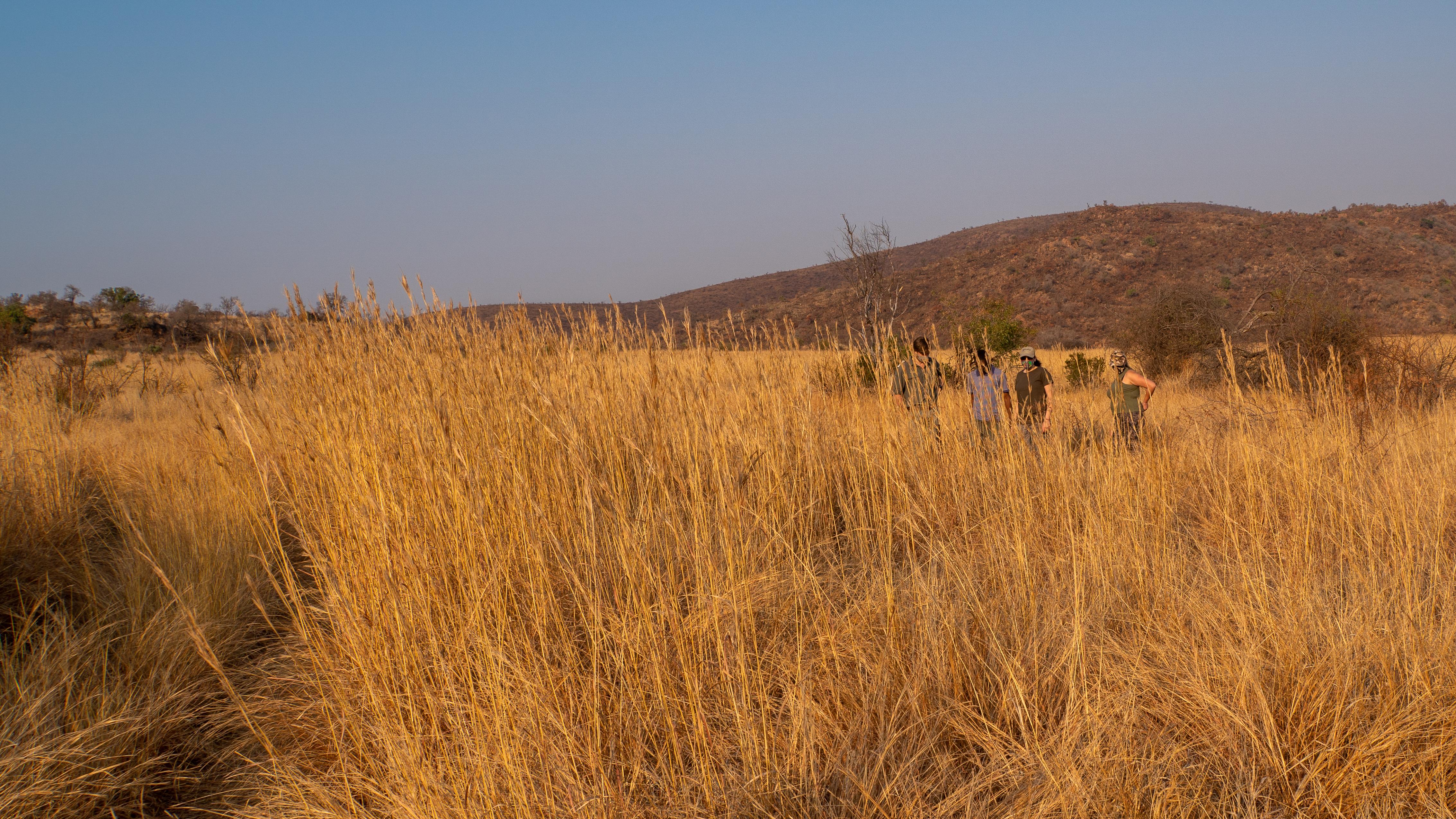 לדיח Bakubung Bush Lodge מראה חיצוני תמונה