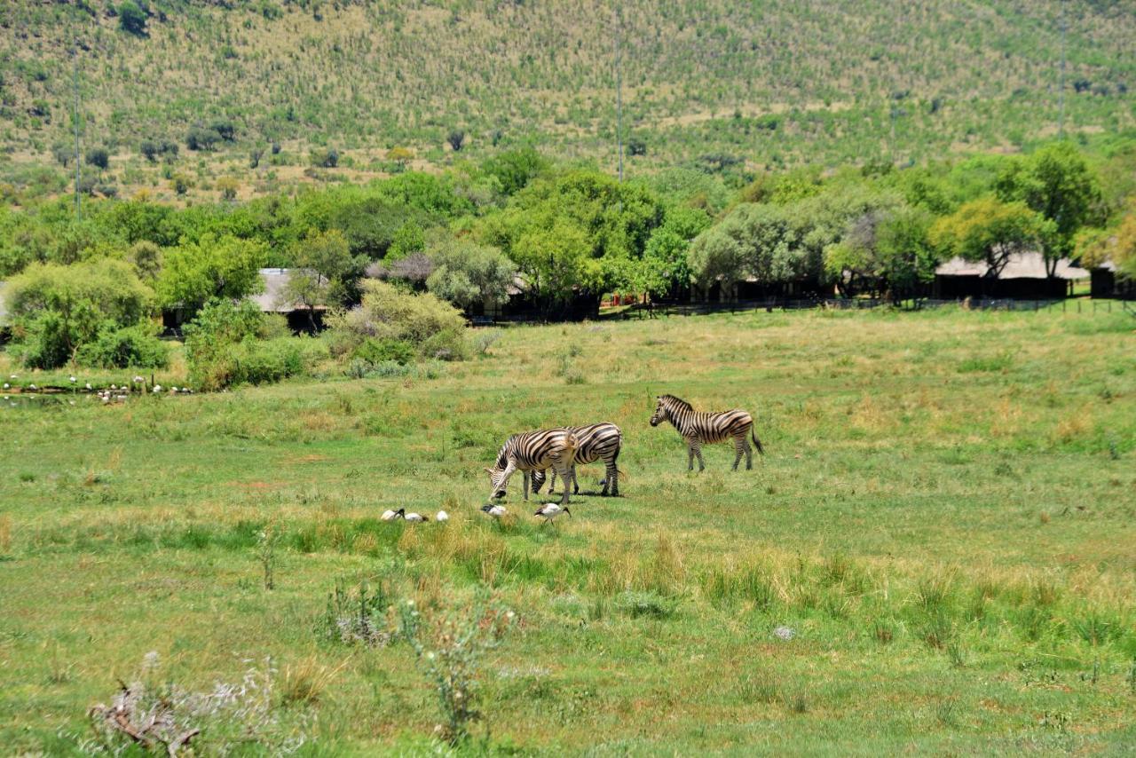 לדיח Bakubung Bush Lodge מראה חיצוני תמונה